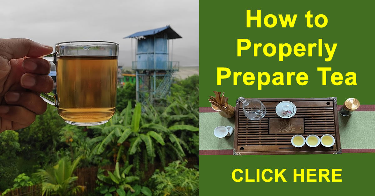 Tea: How to Properly Prepare Tea for Maximum Benefits. - VitaminPROS