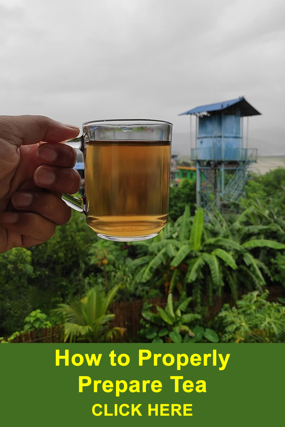 Tea: How to Properly Prepare Tea for Maximum Benefits. - VitaminPROS